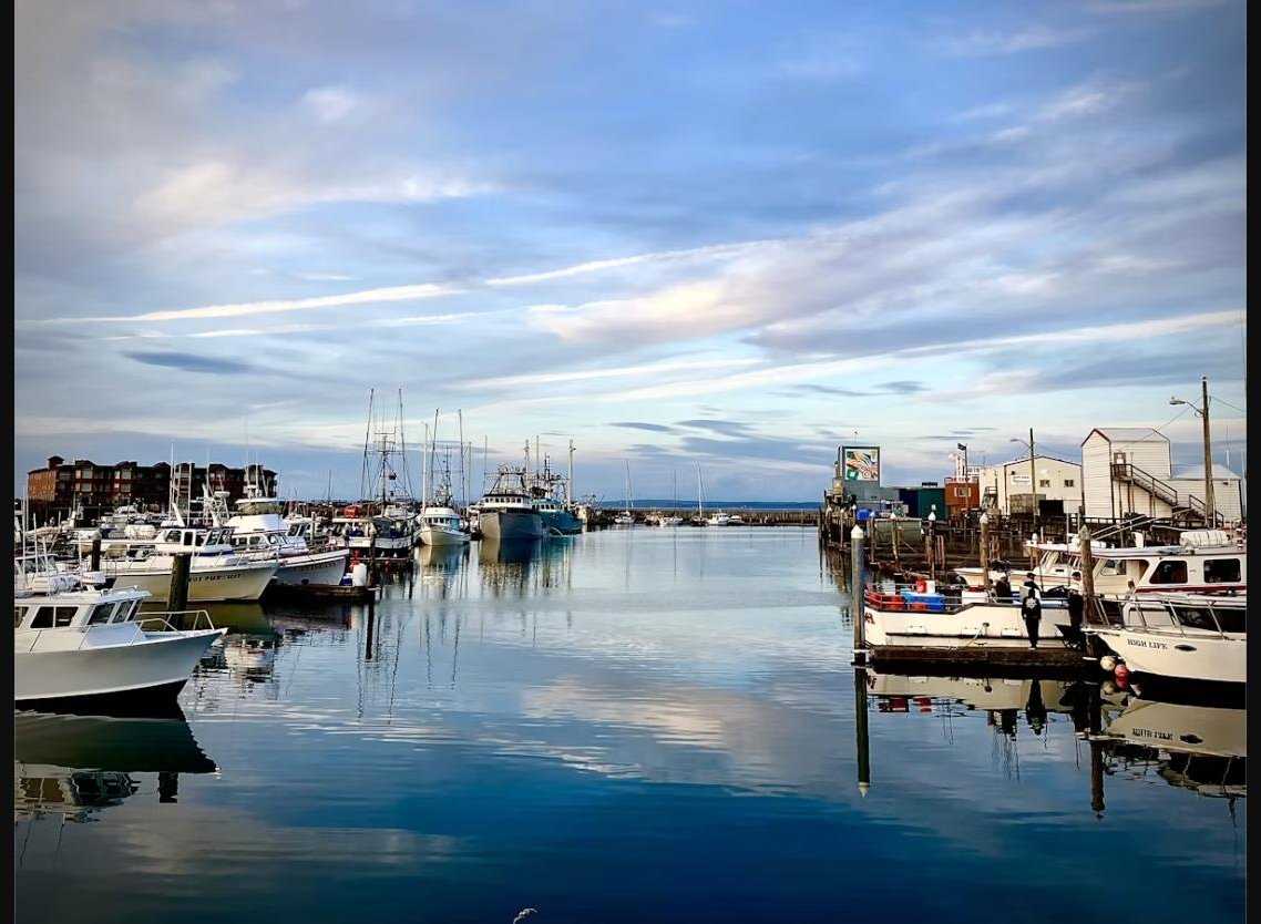 Fishing charter boats docked in Westport Harbor at sunset